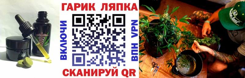 где купить Алатырь Cannafood конопля