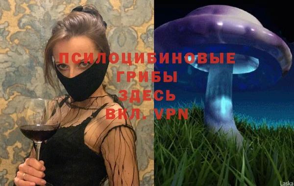 мдпв Абинск