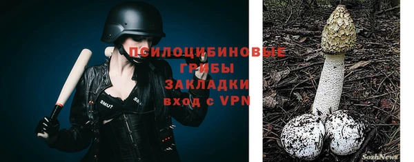соль ск Абаза